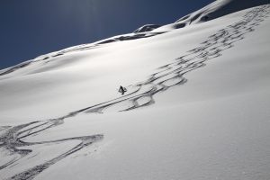 BellaCoolaBeautyShot