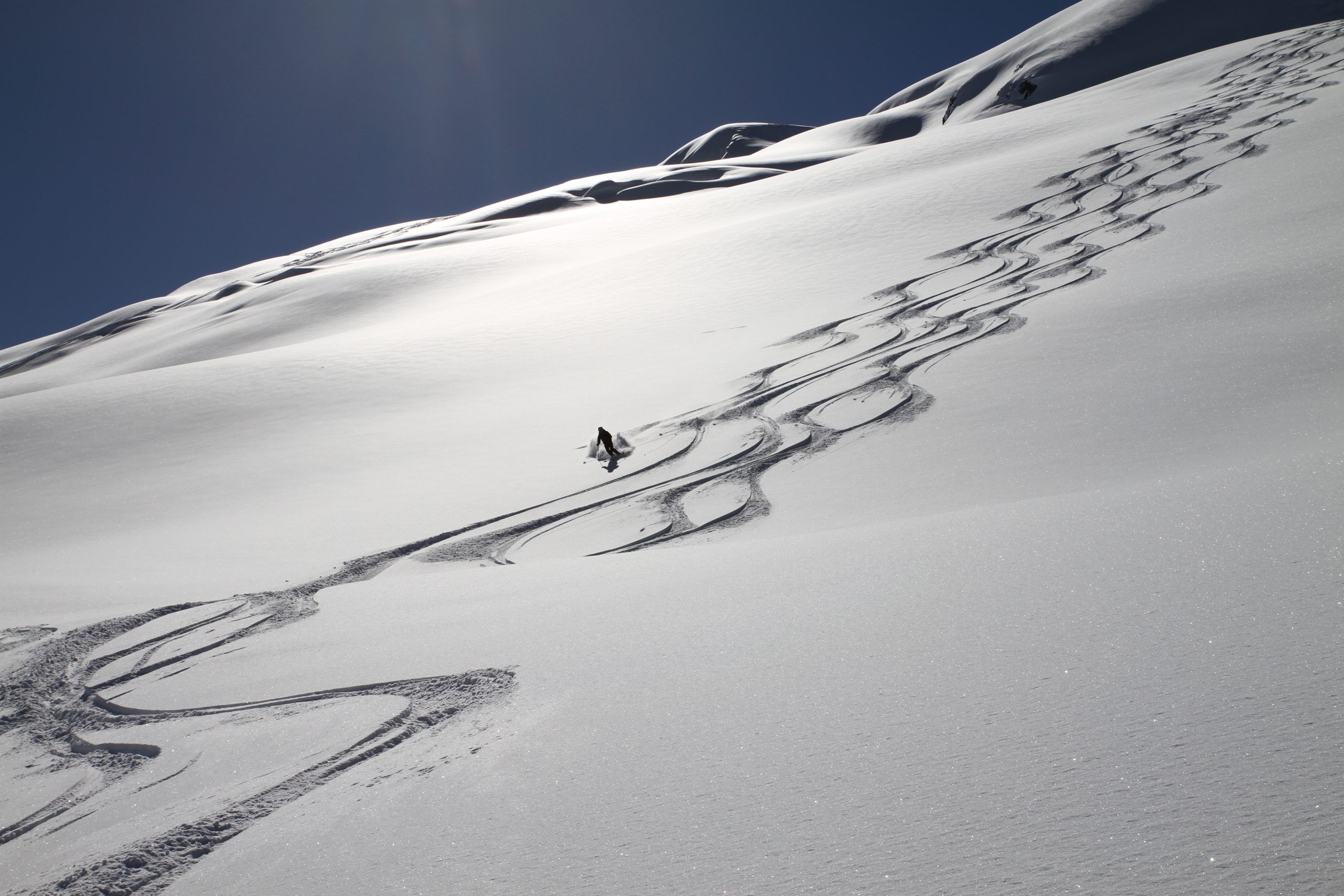 BellaCoolaBeautyShot