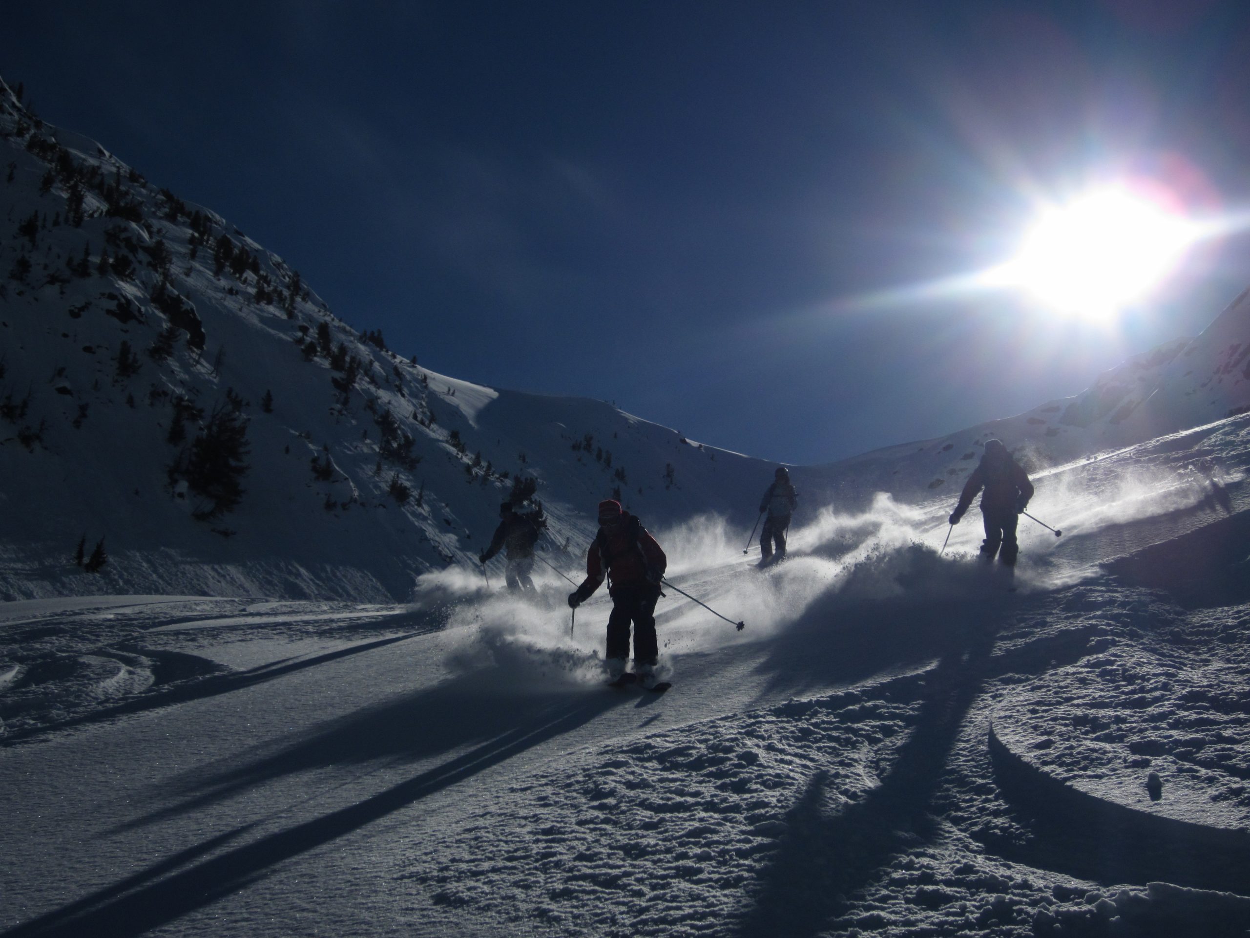 BellaCoolaPowderGroup