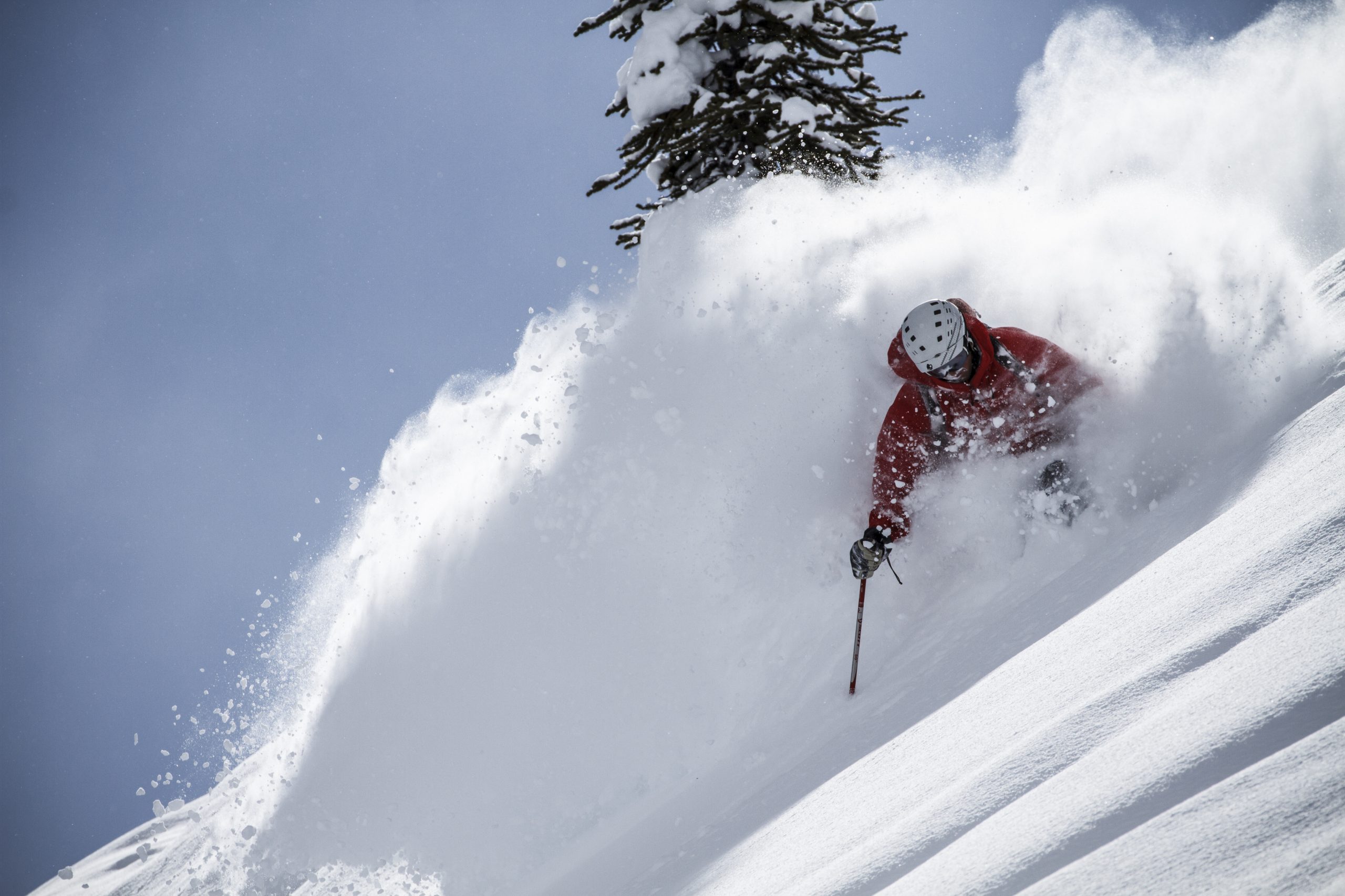Chatter Creek Powder