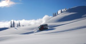 1643_466291_10150597376846566_639192809_o