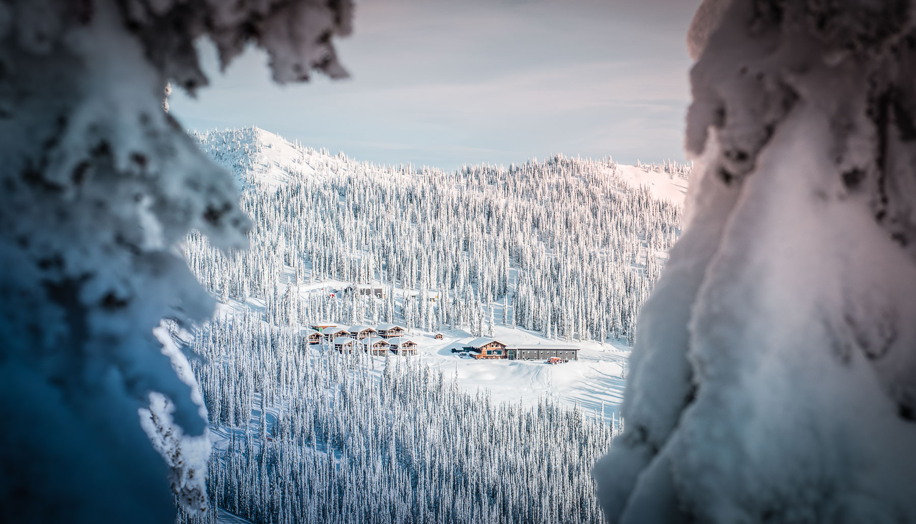 DUSTIN-LALIK-PHOTO-4433-2