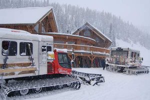 Mustang-Lodge-Cats-snow