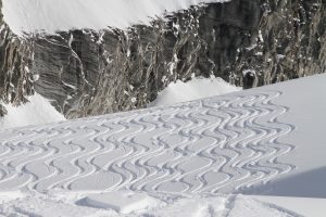 Powder_Track_Farm